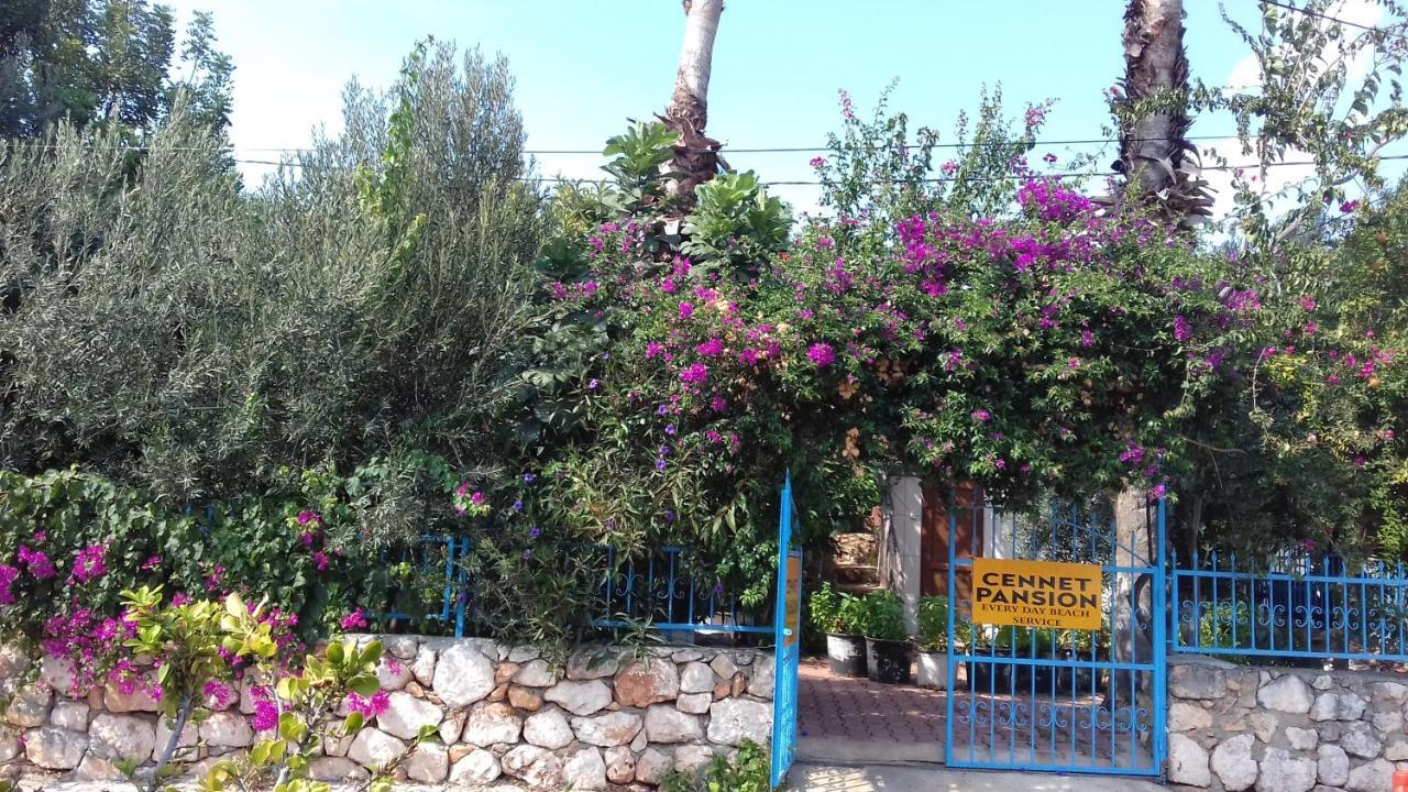 Cennet Pansiyon Hotel Kaleucagiz Exterior photo